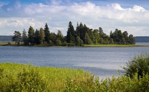 15_Ubagsale.K.Stalnionytes n..jpg